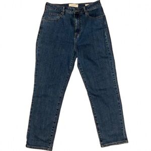 PacSun Dark Blue Skinny Jeans